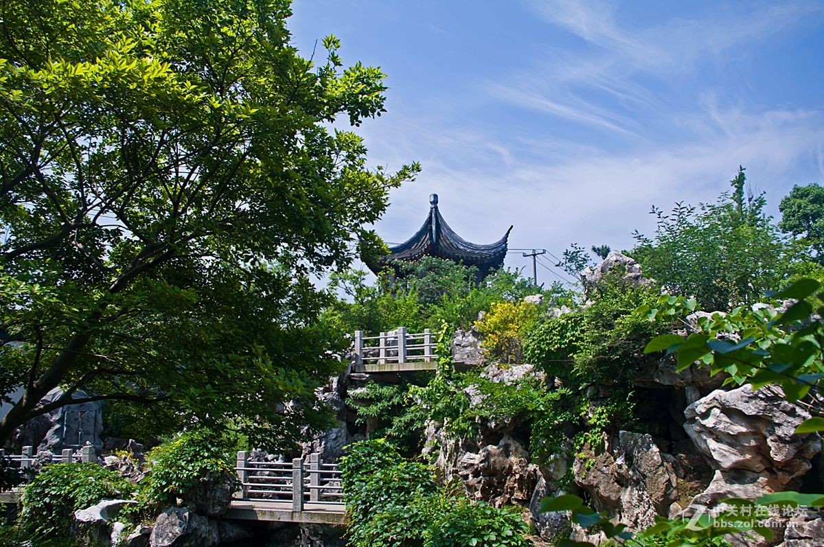 礼园随拍
