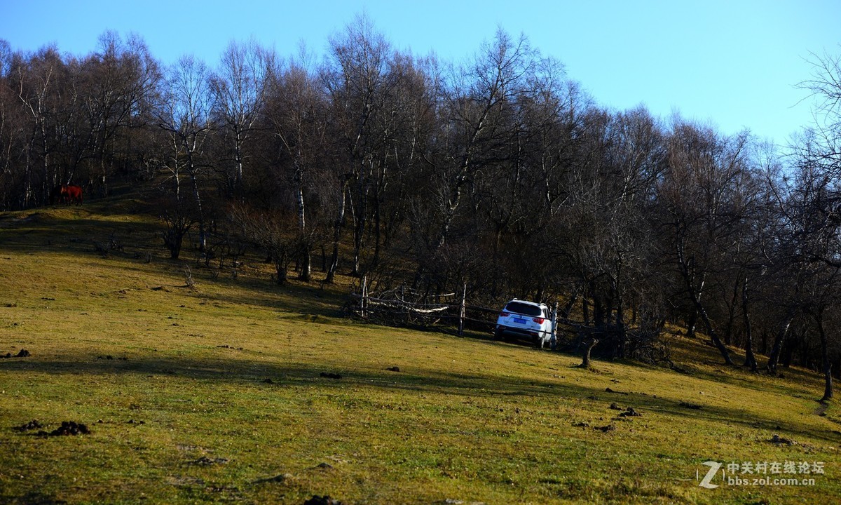 关山那个秋..........