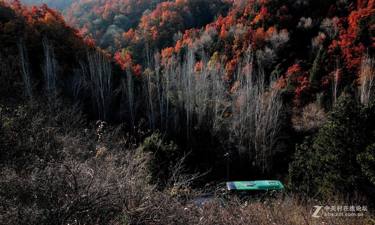 关山那个秋..........