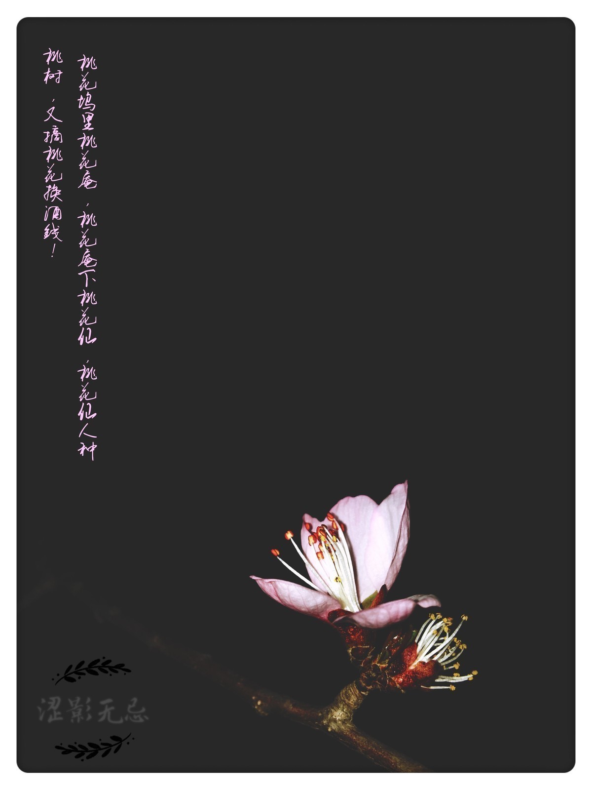 桃花