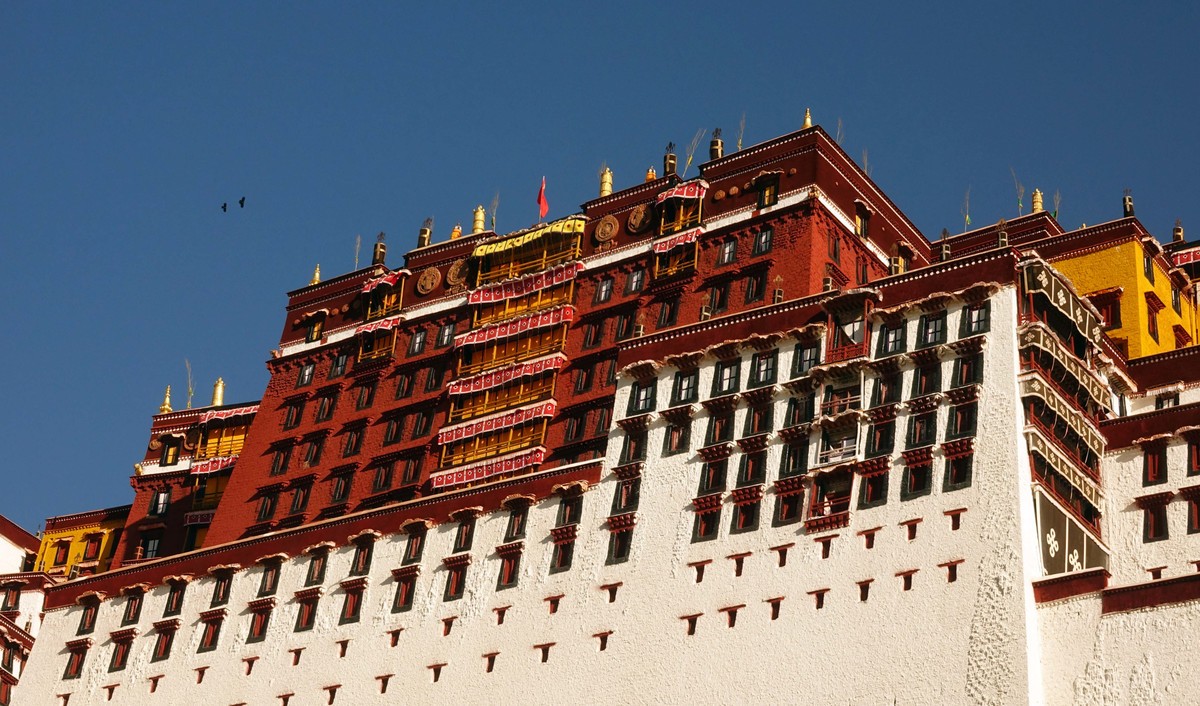 桃花时节游西藏