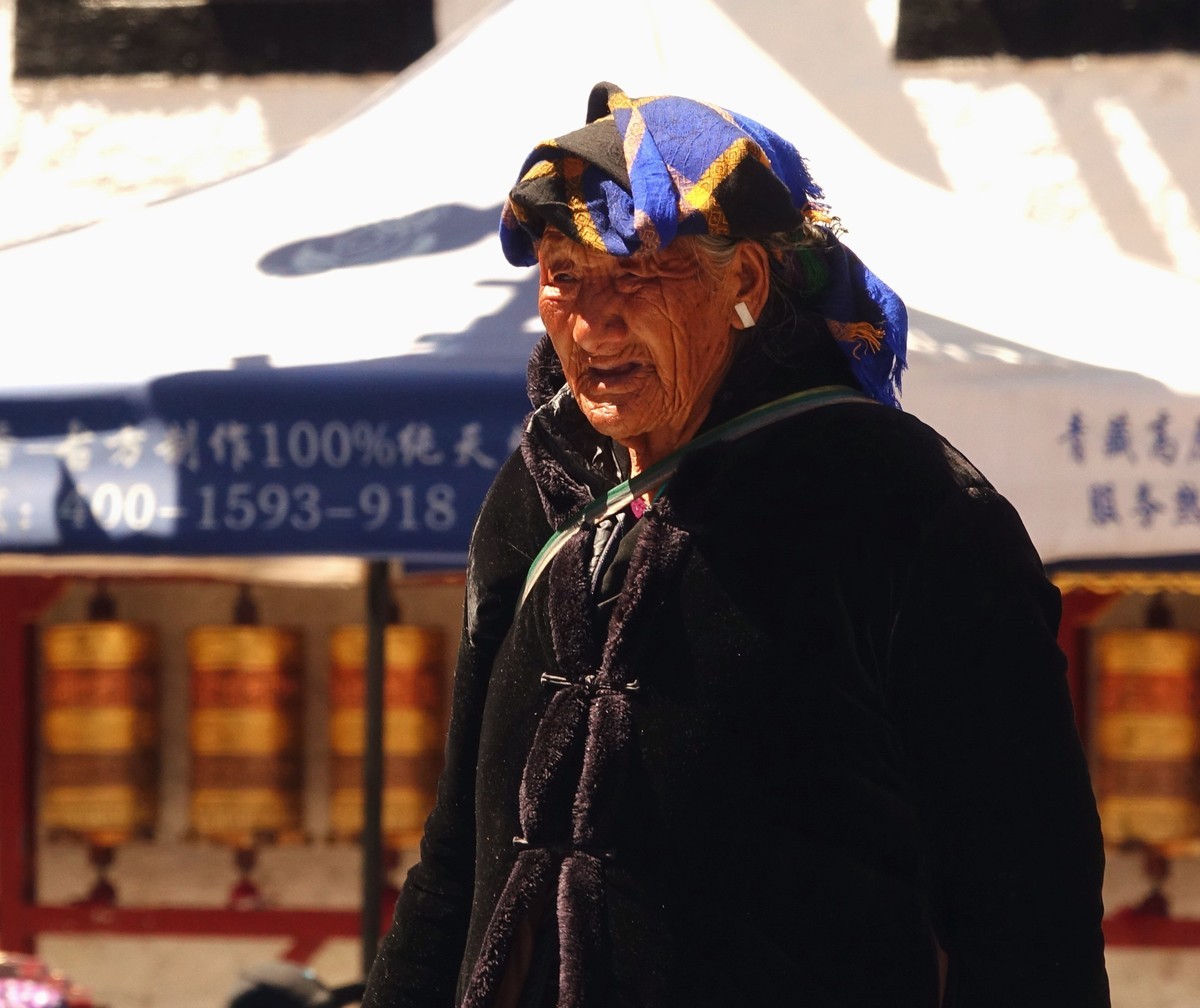 桃花时节游西藏