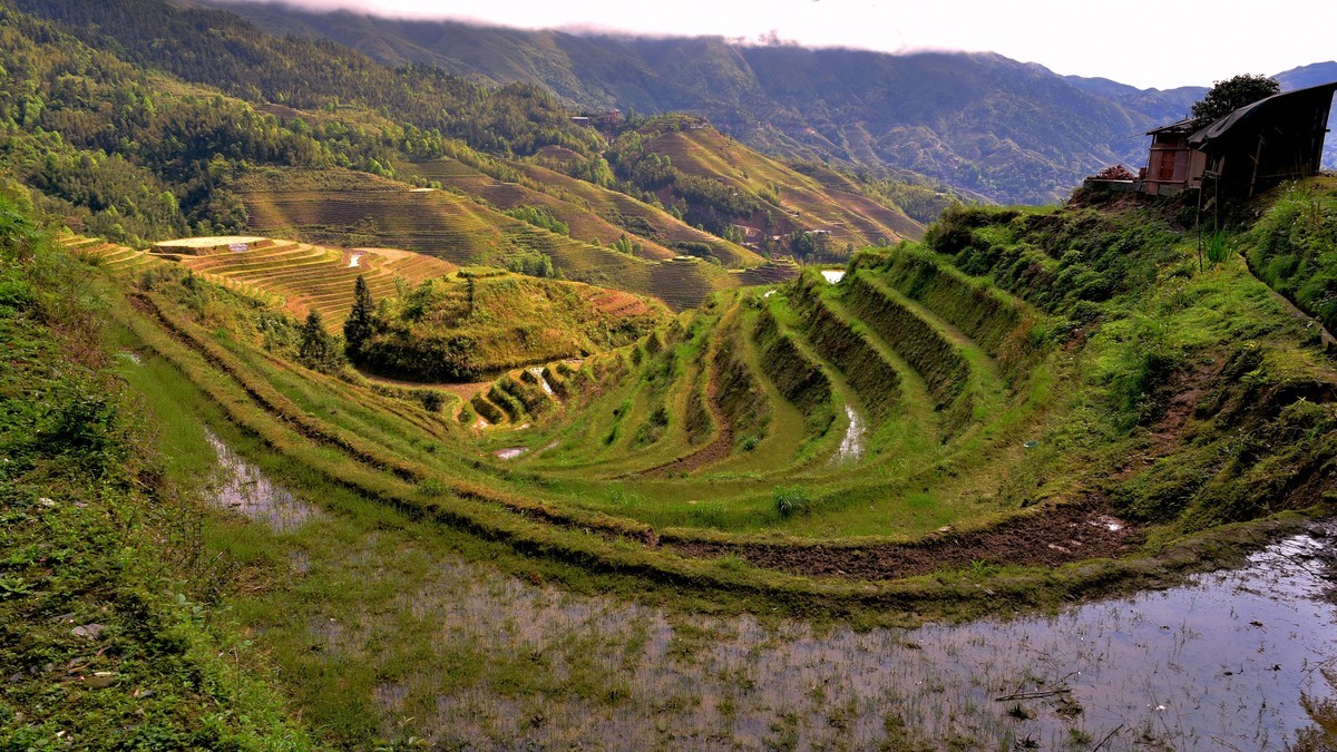 龙脊梯田