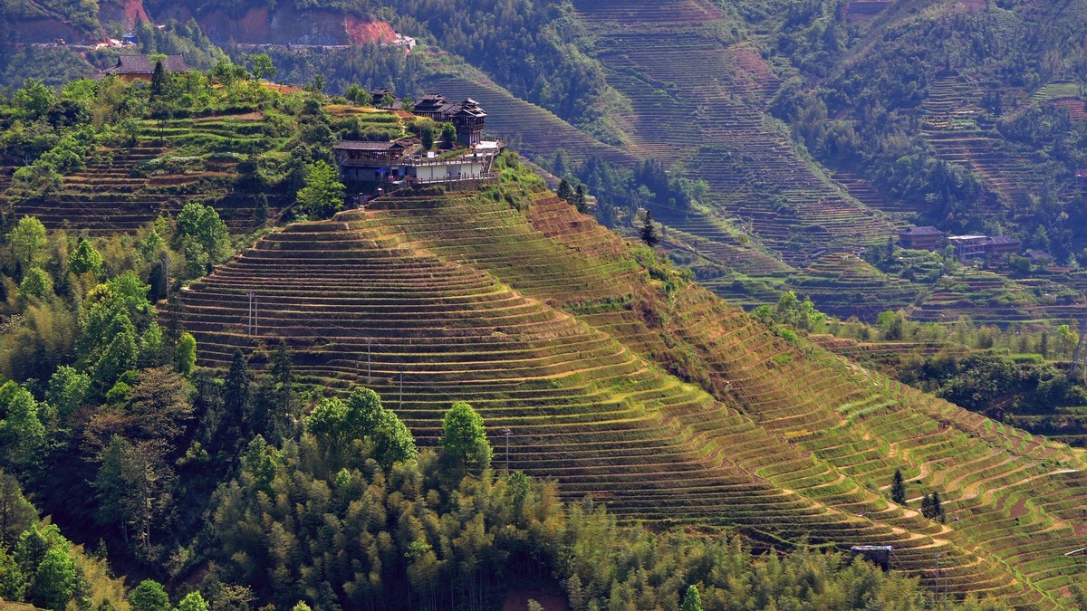 龙脊梯田