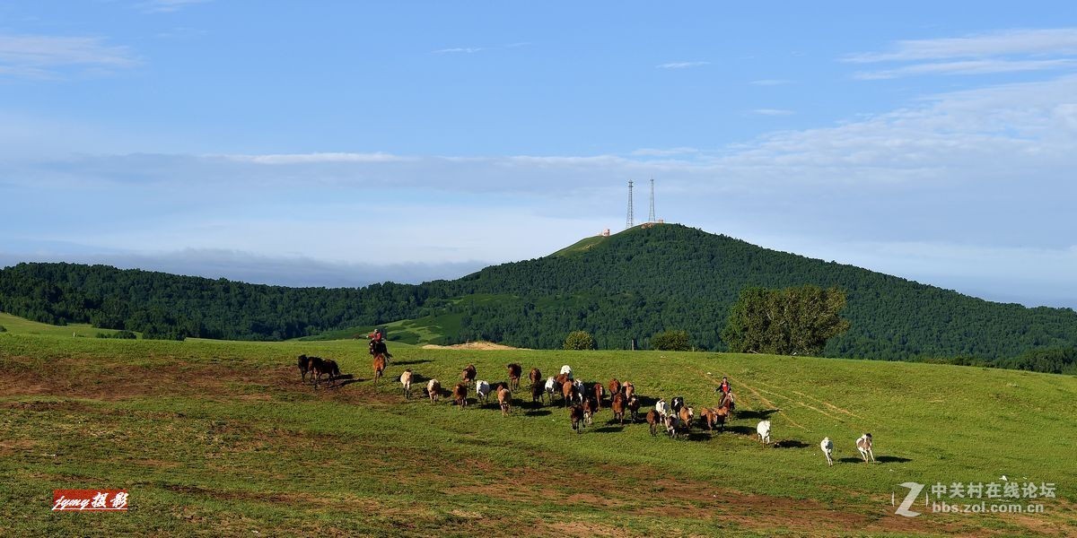 请假帖——奔驰在草原上的骏马
