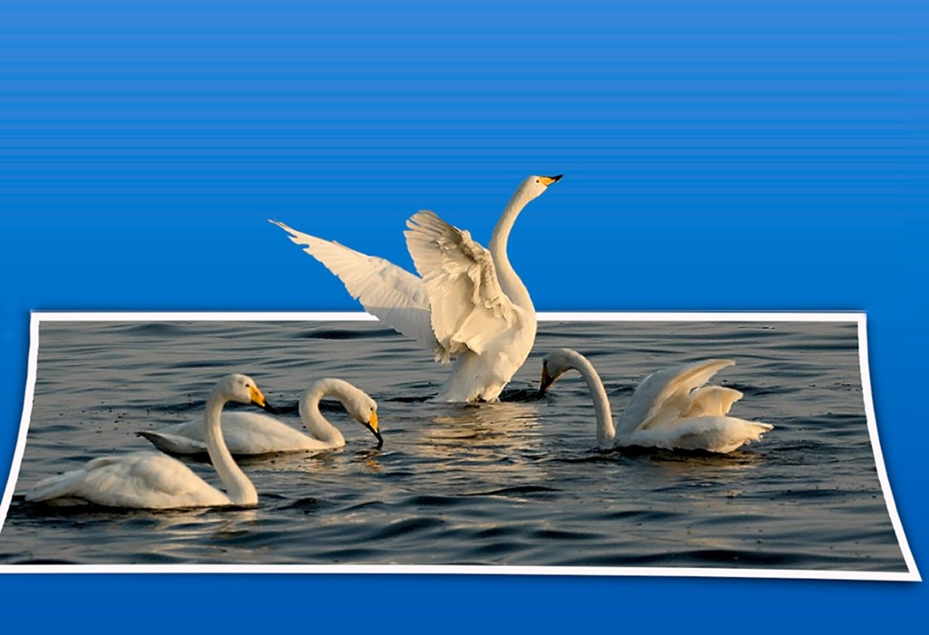 自学PS,后期制作的3D立体图片