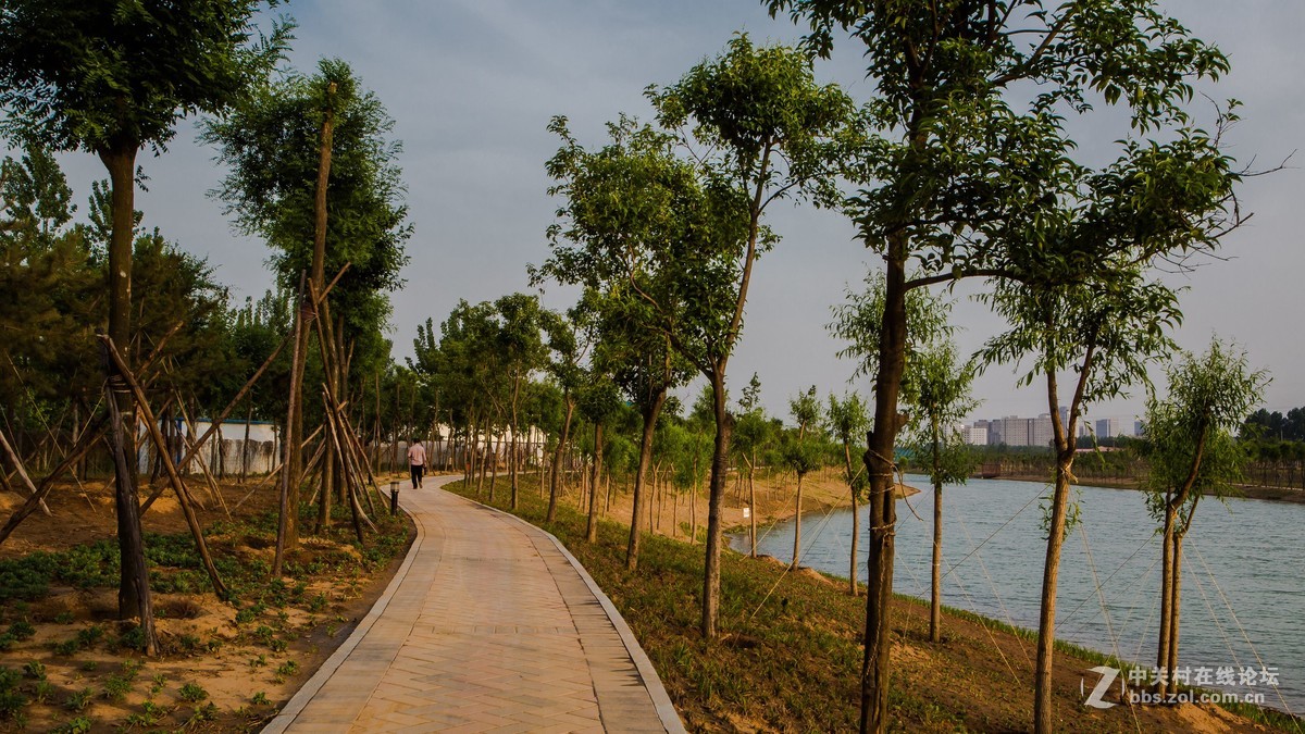 大同饮马河湿地公园图片