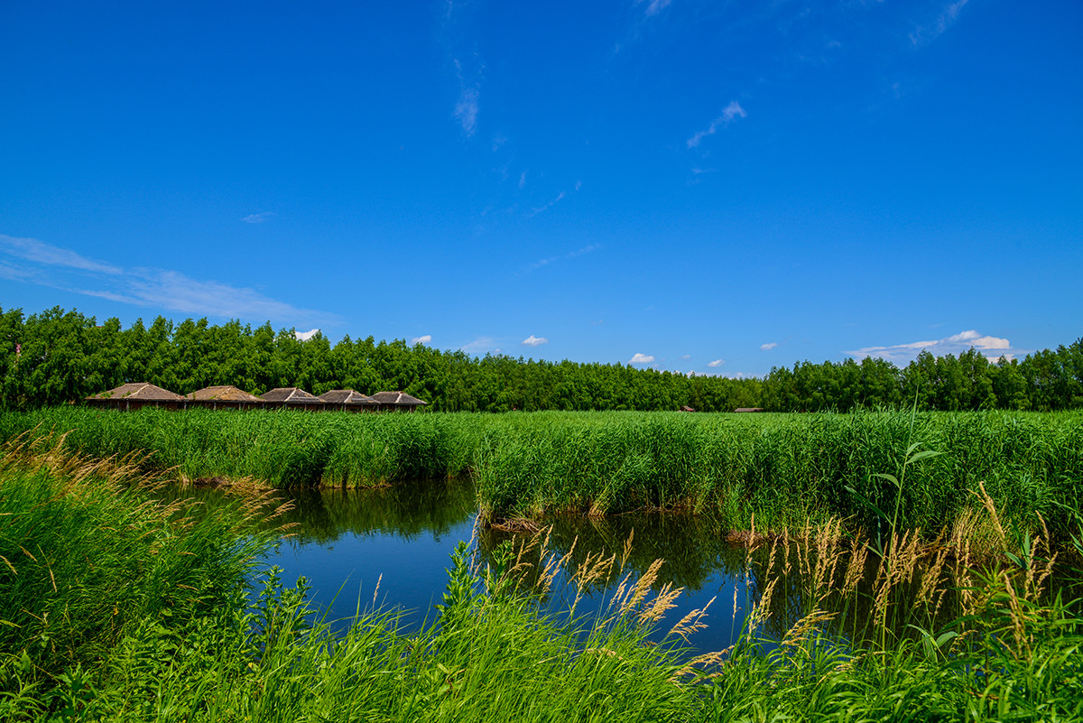 白鱼泡湿地公园2