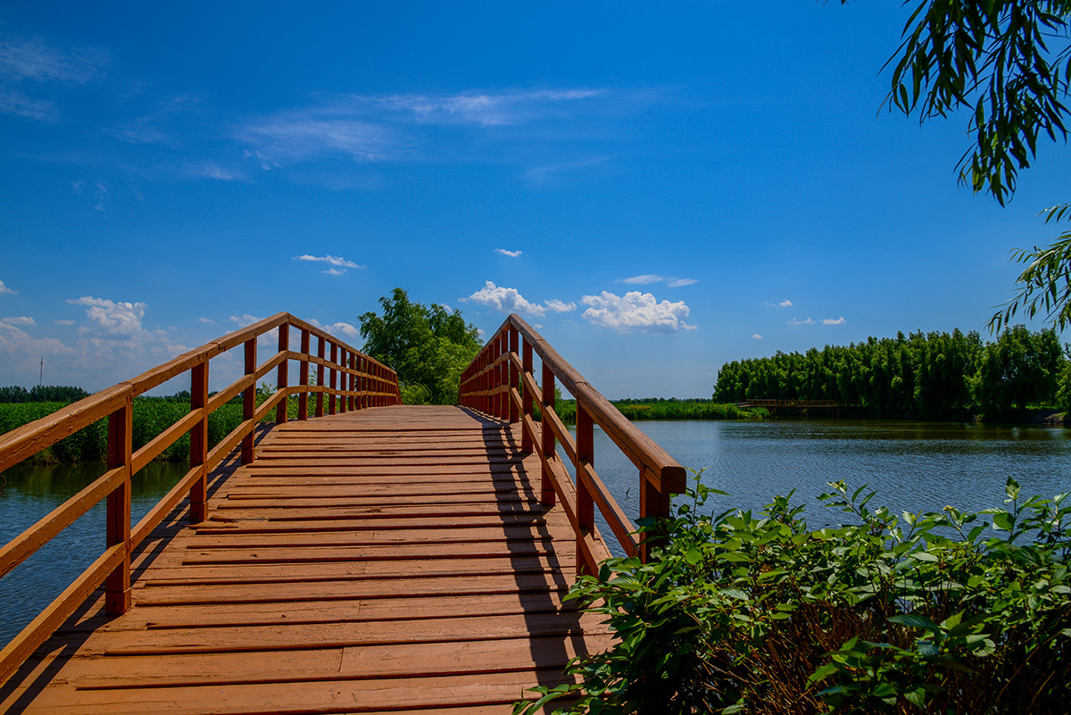 白鱼泡湿地公园2