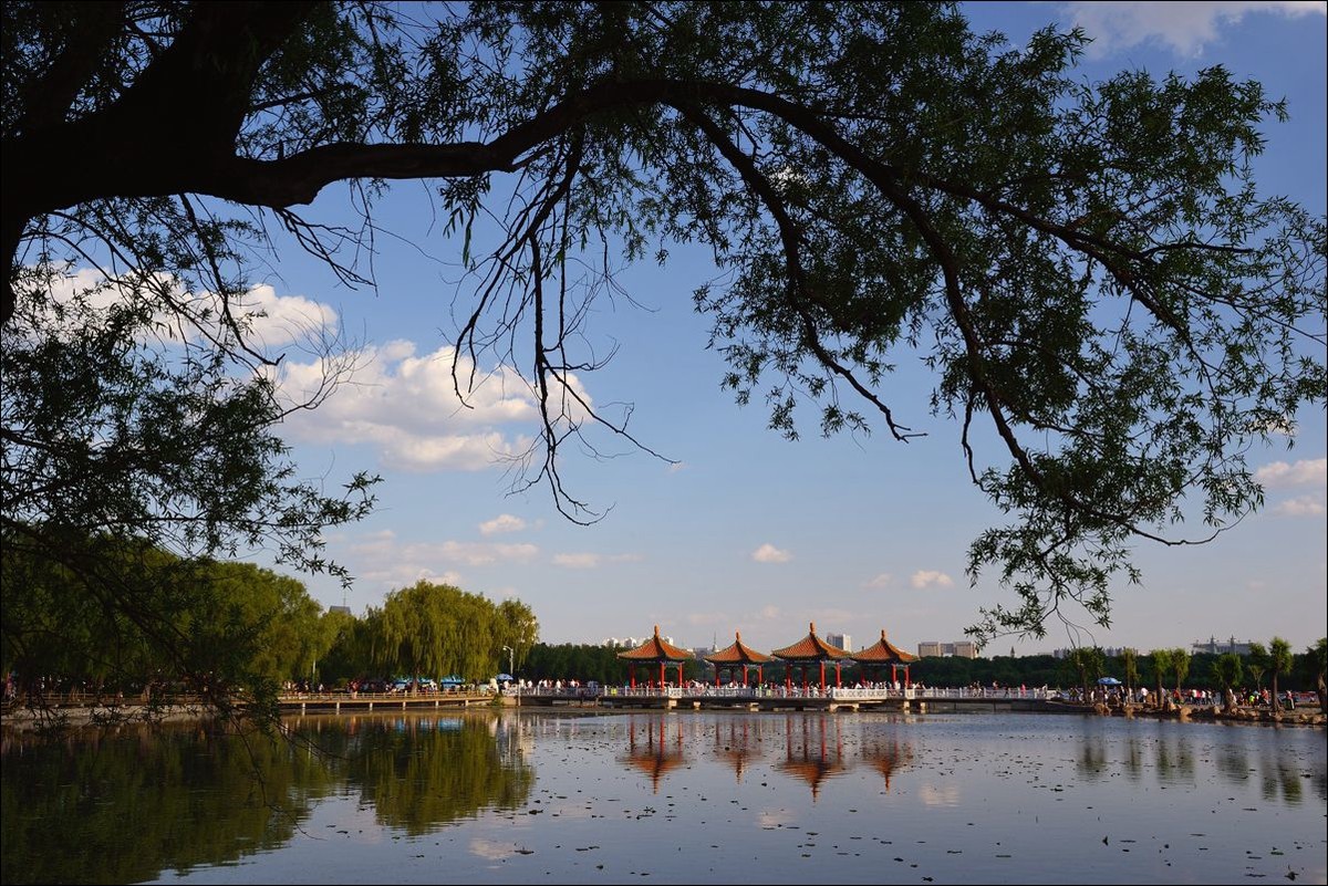 休闲随拍（302）