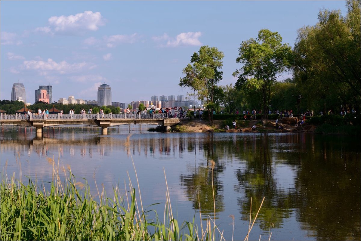 休闲随拍（302）