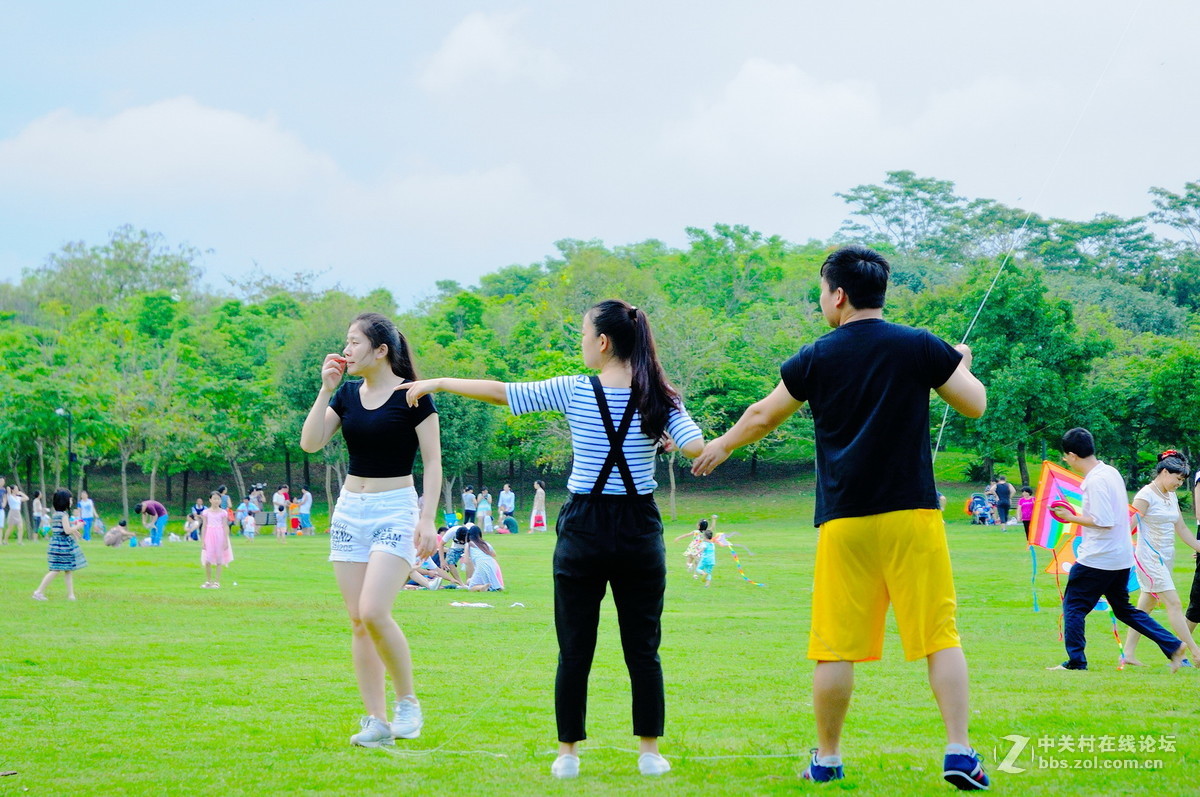 大沙河公园小花草