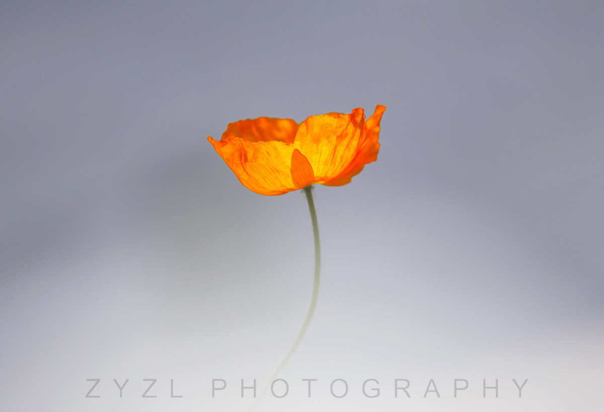 #版主坐堂#【天津版块】2016年5月金钻精华汇总