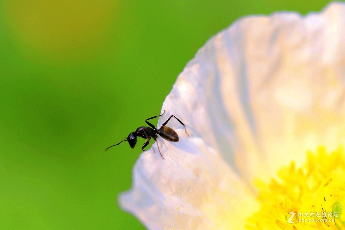 #版主坐堂#【天津版块】2016年5月金钻精华汇总