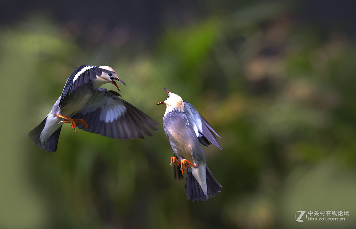 #版主坐堂#【天津版块】2016年5月金钻精华汇总