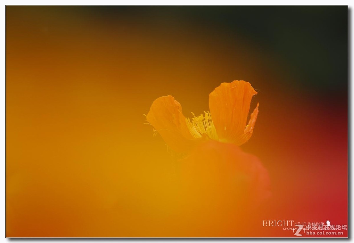 #版主坐堂#【天津版块】2016年5月金钻精华汇总