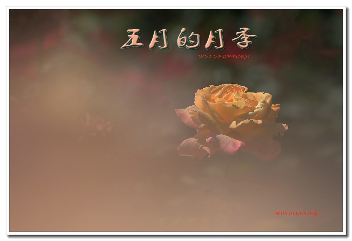 #版主坐堂#【天津版块】2016年5月金钻精华汇总