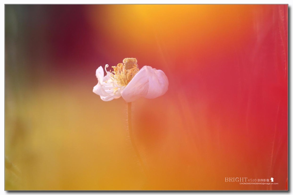 #版主坐堂#【天津版块】2016年5月金钻精华汇总