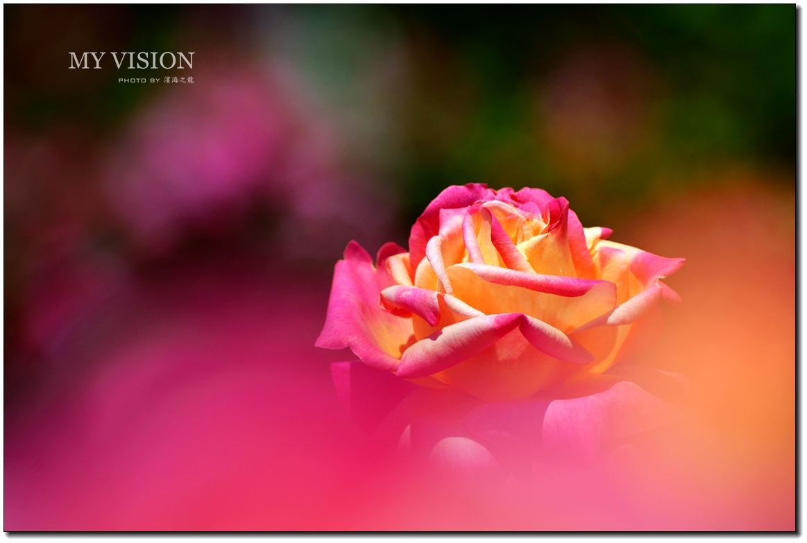 #版主坐堂#【天津版块】2016年5月金钻精华汇总