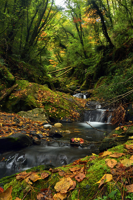 現場白平衡確認