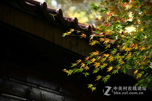 現場白平衡確認