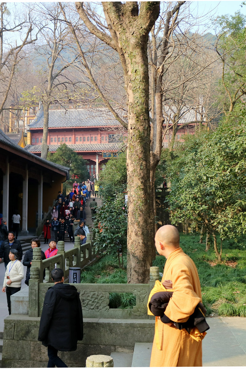 2017年元旦灵隐礼佛