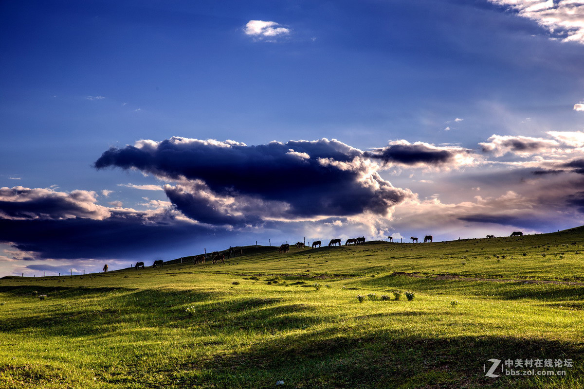 #佳能月赛-人与自然#  _ 约会草原