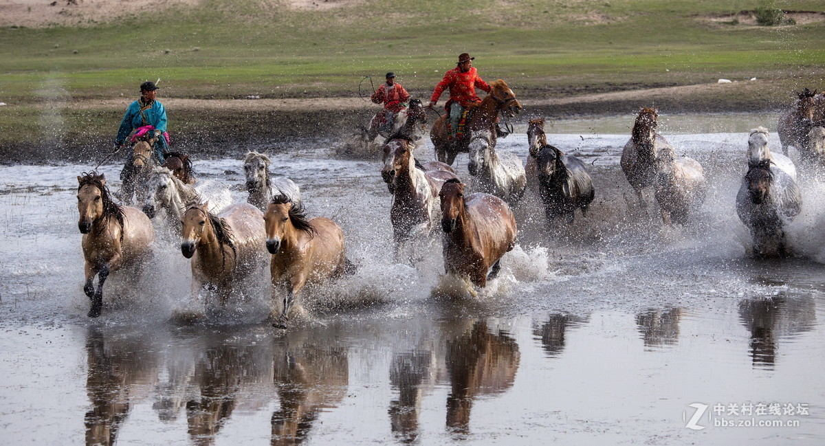 #佳能月赛-人与自然#  _ 约会草原
