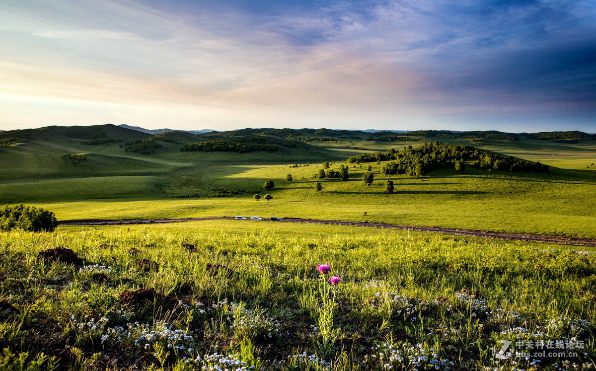 #佳能月赛-人与自然#  _ 约会草原