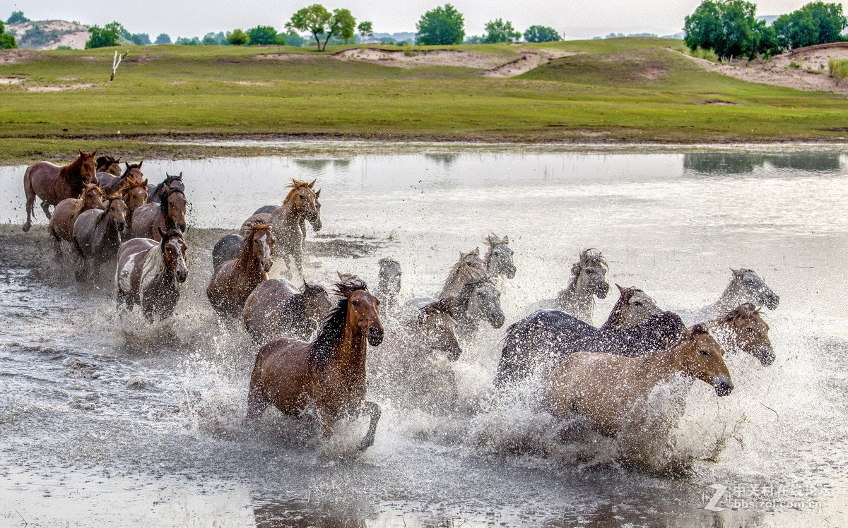 #佳能月赛-人与自然#  _ 约会草原