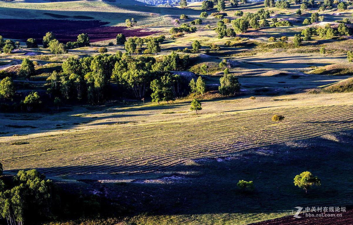 #佳能月赛-人与自然#  _ 约会草原