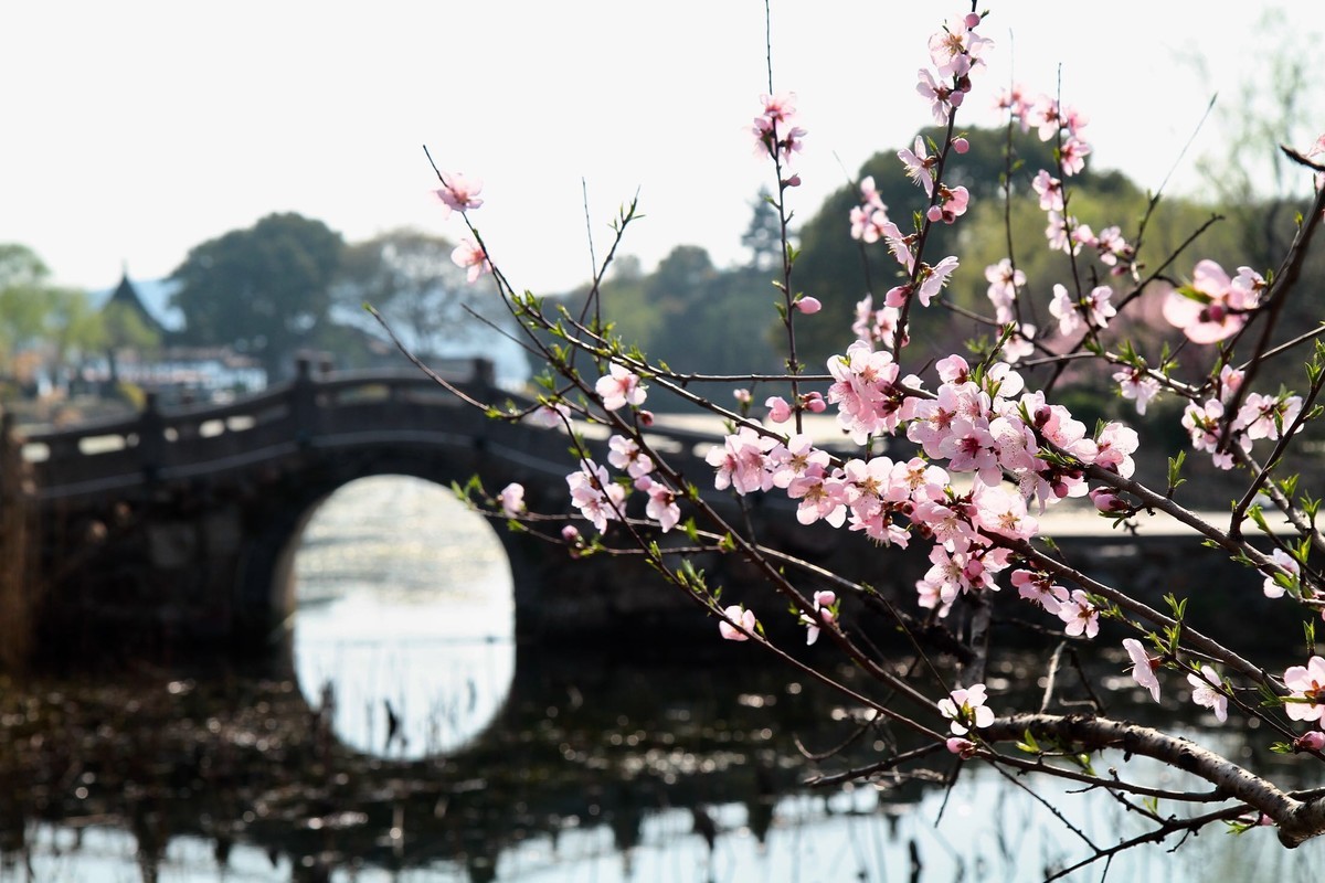 春光灿烂季节里，多看多拍！