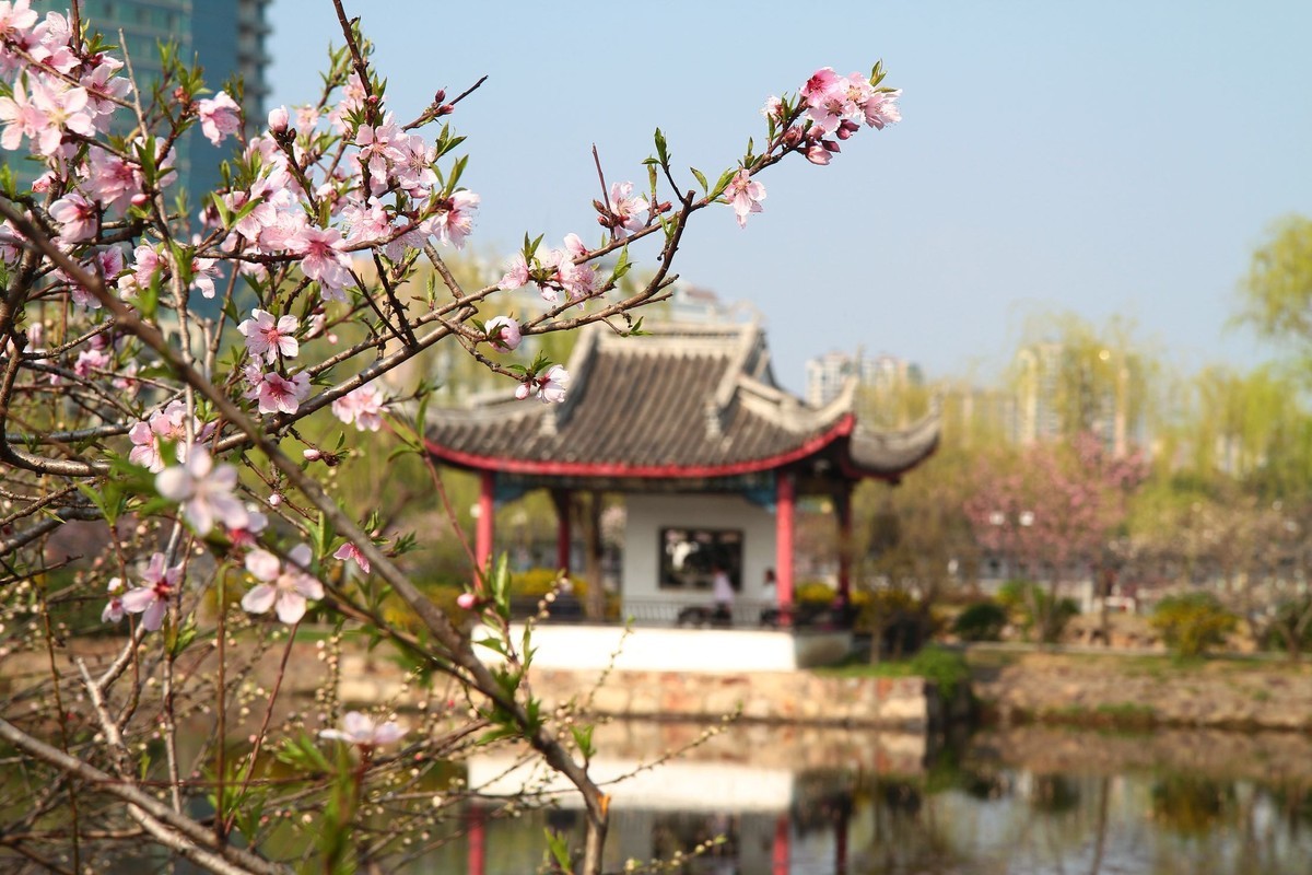 春光灿烂季节里，多看多拍！