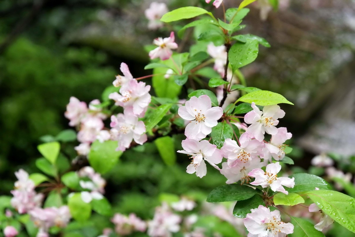 许久未逛星空(中国)了，祝各位摄友好！