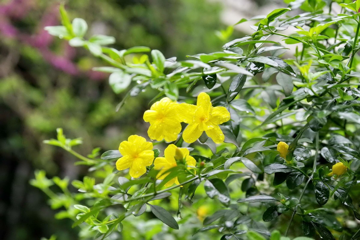 许久未逛星空(中国)了，祝各位摄友好！