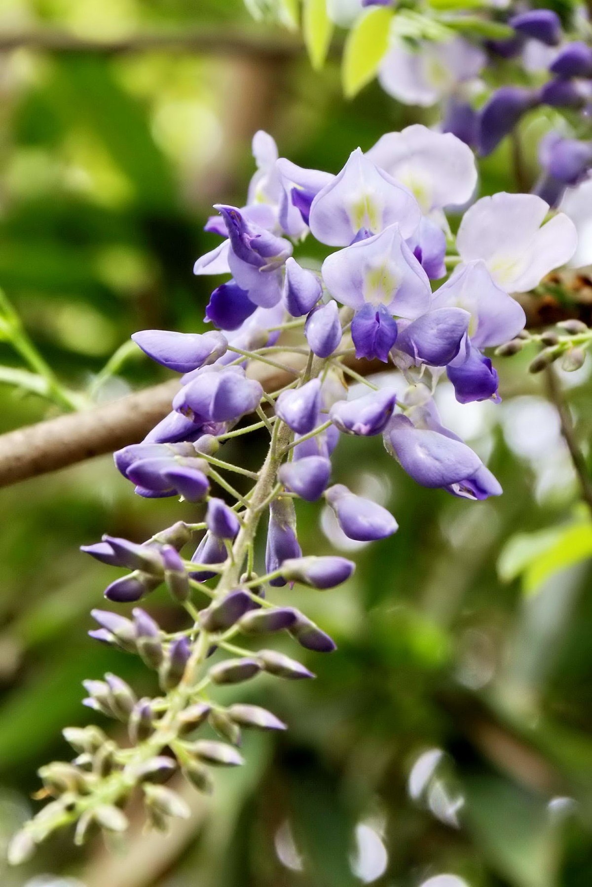 许久未逛星空(中国)了，祝各位摄友好！
