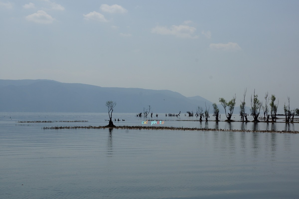 大理洱海风光
