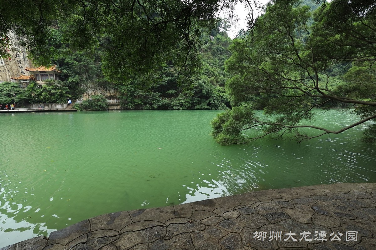 大龙潭公园美景