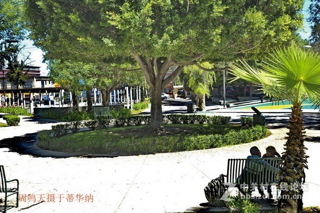 美国摄记十、墨西哥   周鸣天