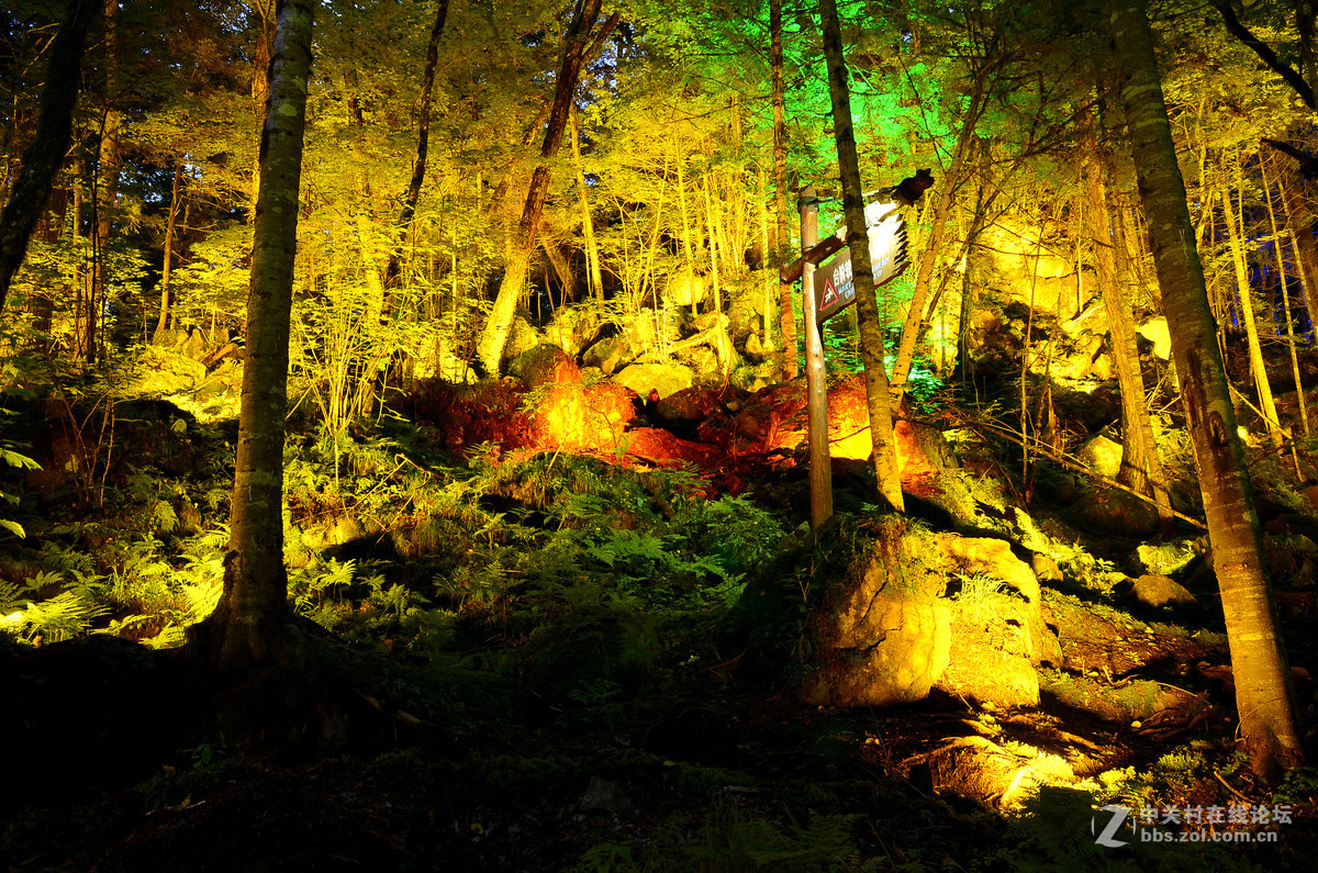 长白山森林峡谷夜景图片