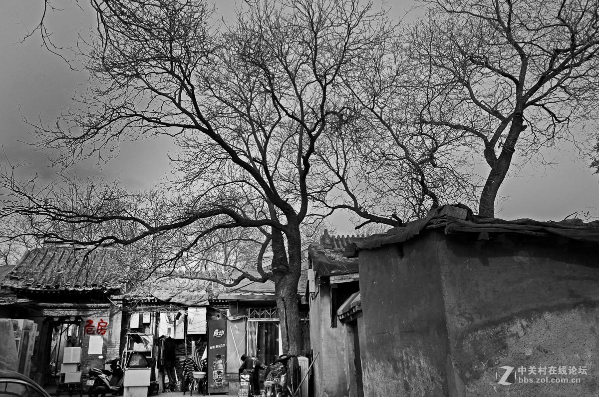 京城里的那点儿红...