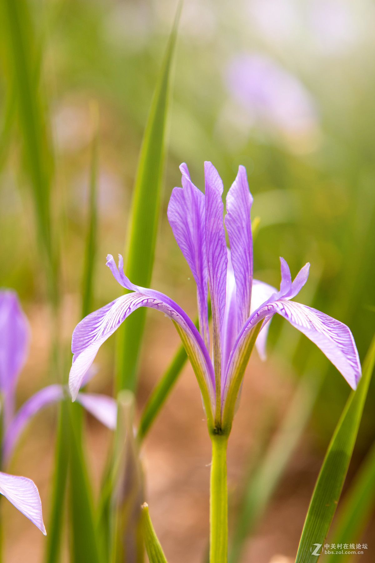 佳能 EOS M3 转接24-70mm F2.8 一代
