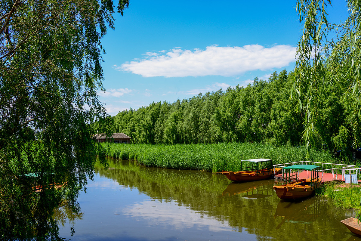 白鱼泡湿地公园2