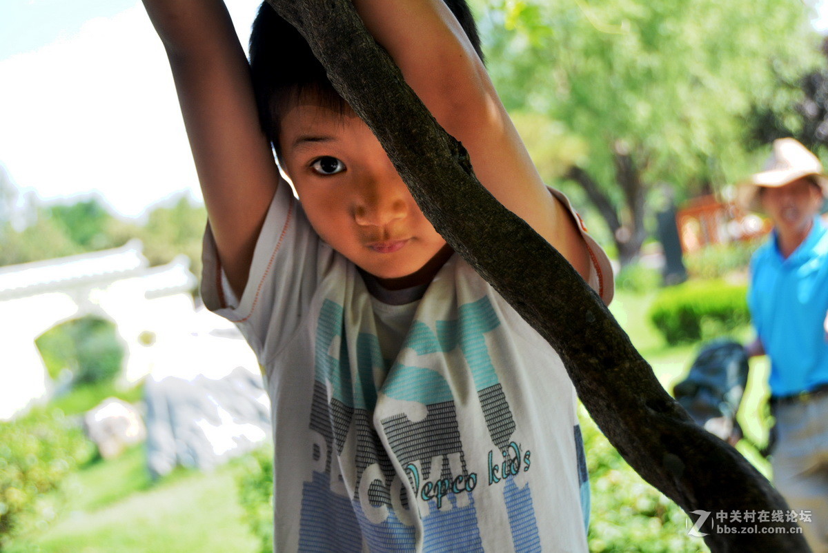 爬树男孩