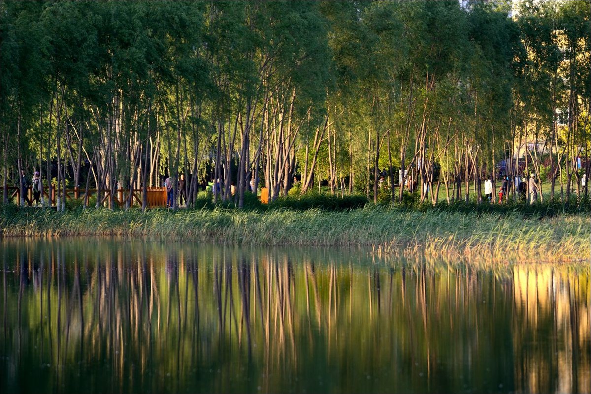 休闲随拍（302）