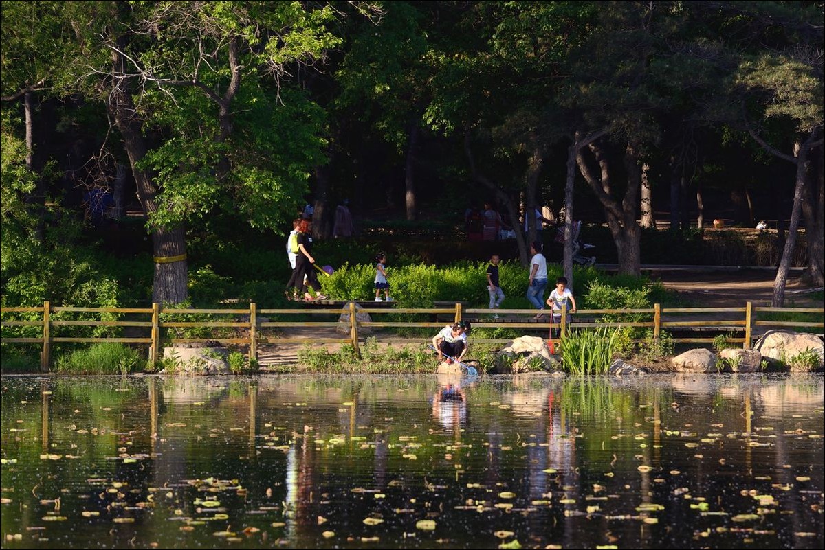 休闲随拍（302）