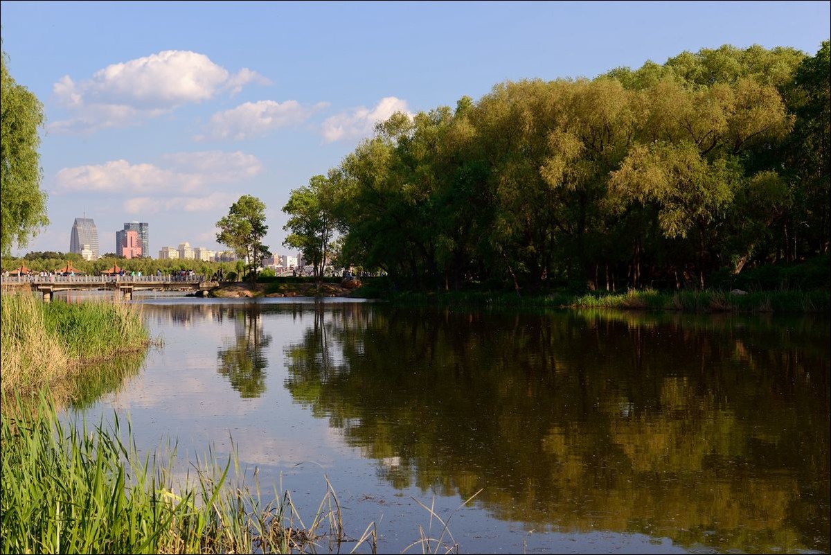 休闲随拍（302）