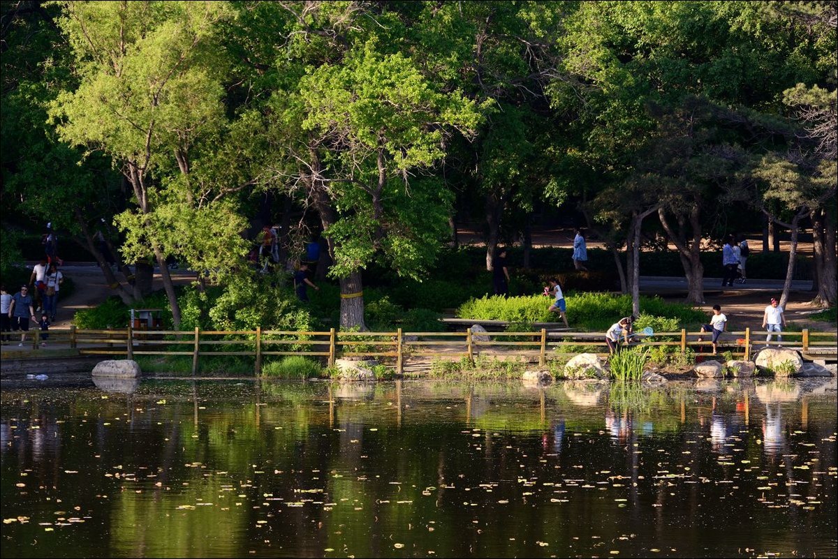 休闲随拍（302）