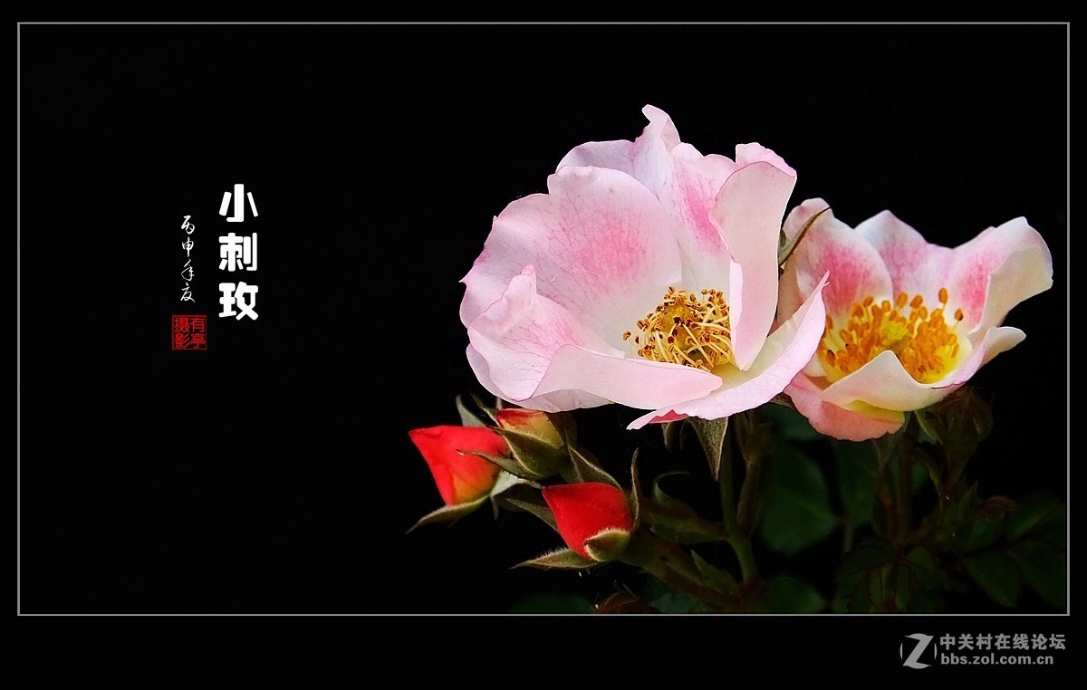 #版主坐堂#【天津版块】2016年5月金钻精华汇总