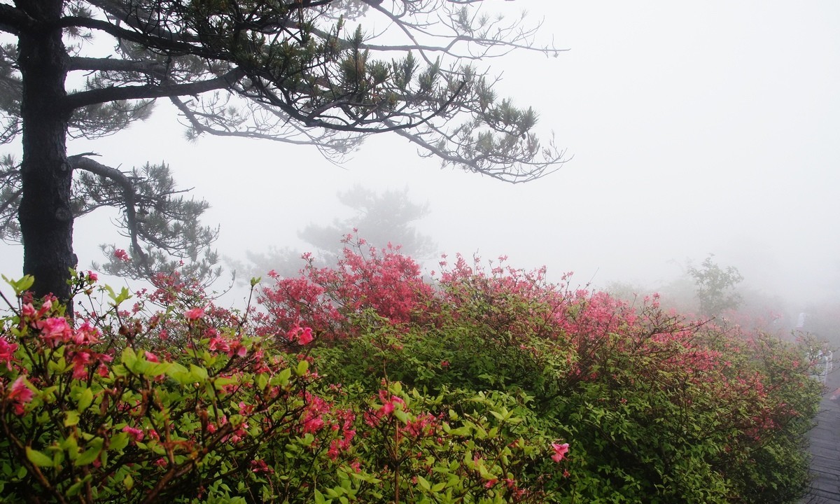 #版主坐堂#【天津版块】2016年5月金钻精华汇总